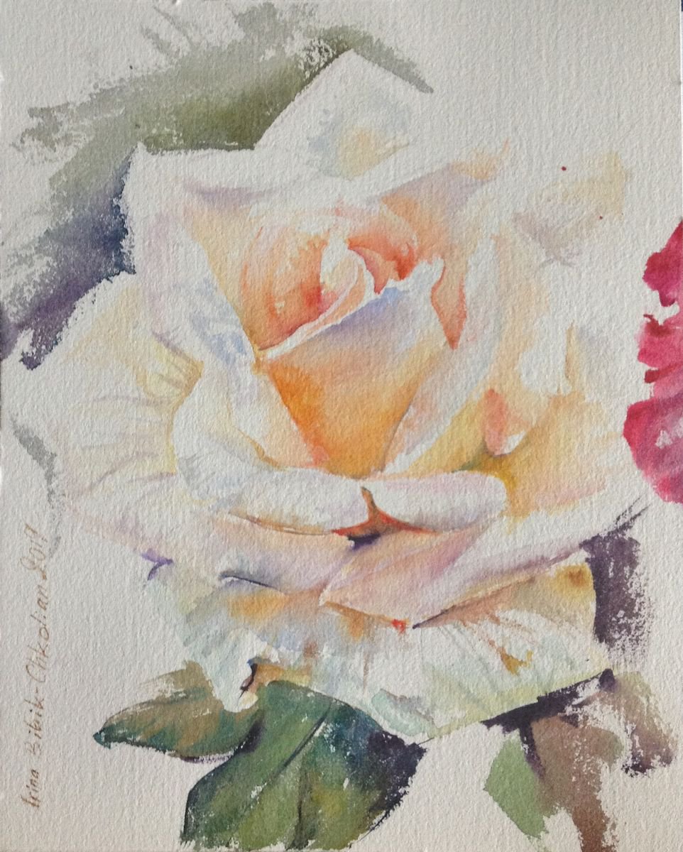 Rose 20192302 by Irina Bibik-Chkolian