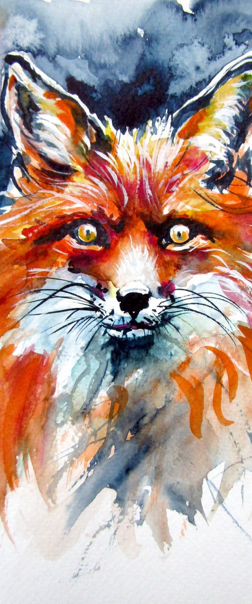 Red fox portrait by Kovács Anna Brigitta