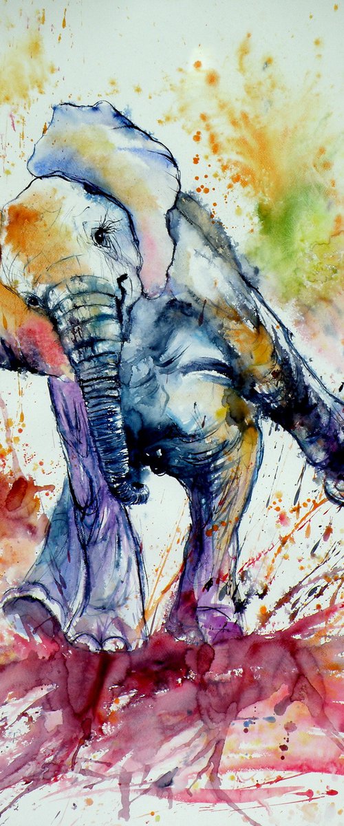 Playing elephant baby V by Kovács Anna Brigitta