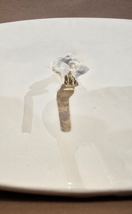 "Vulva Hypnotica XXVI"