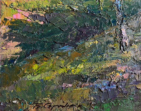 Sunny Day in the Birch Forest