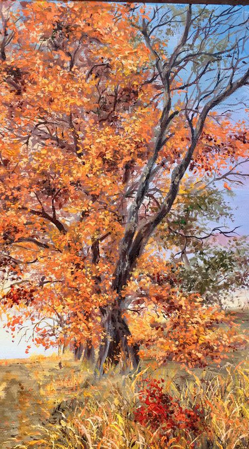Autumn sunrise by oana voda