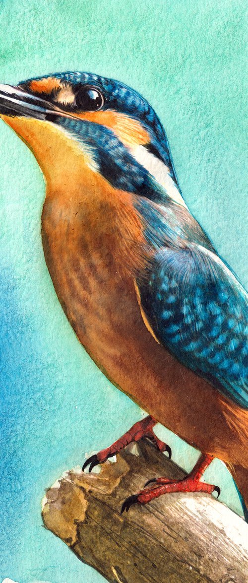 Kingfisher III by REME Jr.