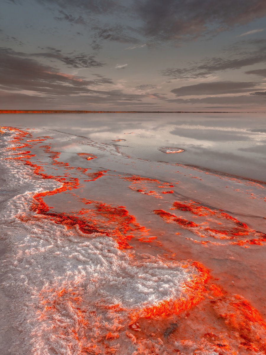 Abstract Photograph By Nick Psomiadis, 35 X 47", Algotene Ii, Original Artwork