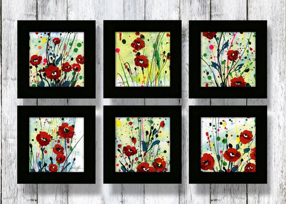 Poppy Dreams Collection 1