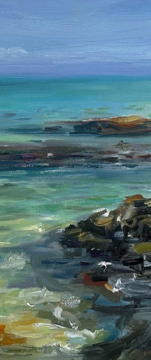 Costal rocks by Irina Sherbiak