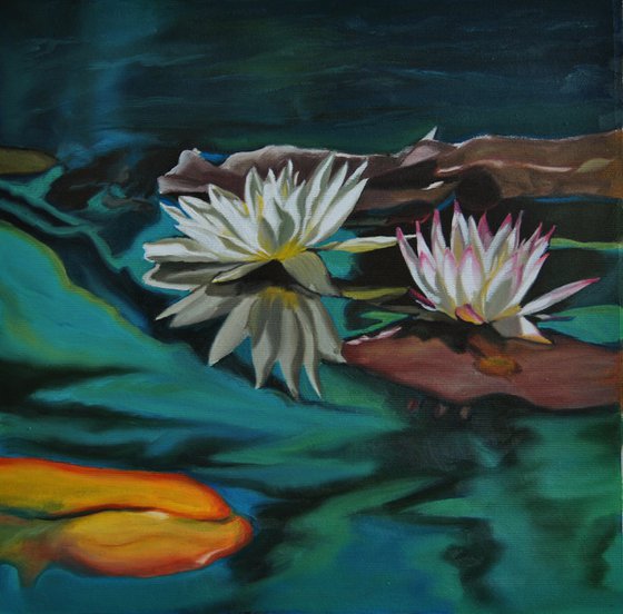 Water lily