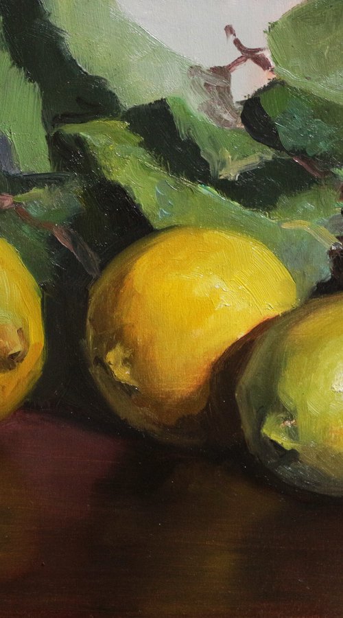 3 Lemons by Pascal Giroud