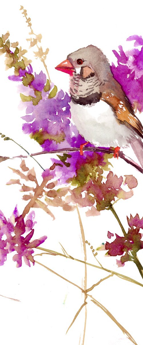 Zebra Finch and Purple Flowers by Suren Nersisyan