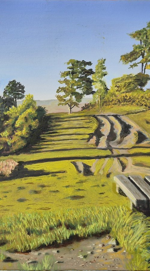 A Resting Place in the Ashdown Forest by Chris Marshall