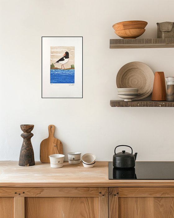 Oystercatcher