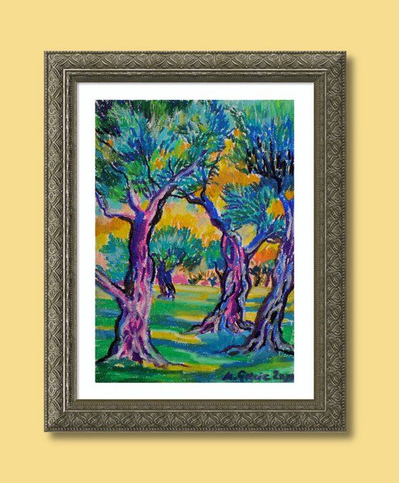 Olive grove No 21