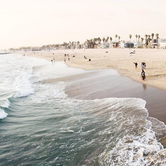 Venice Beach #1