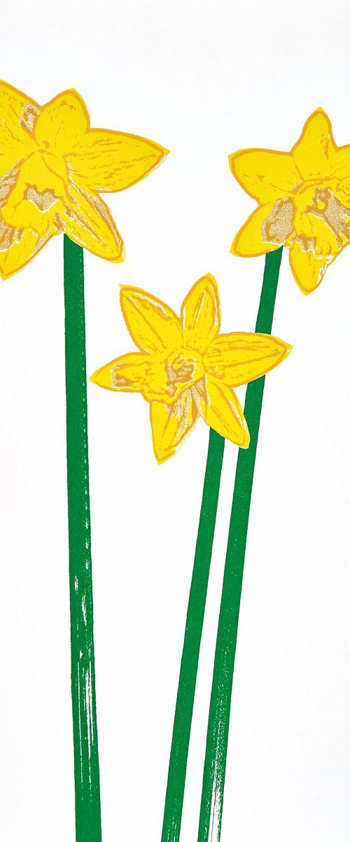 Daffodils 2 by Ed Watts