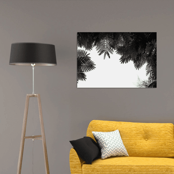 The Tree Top II