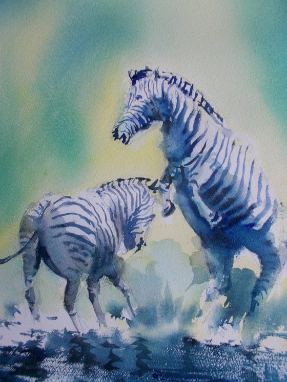 zebras 2
