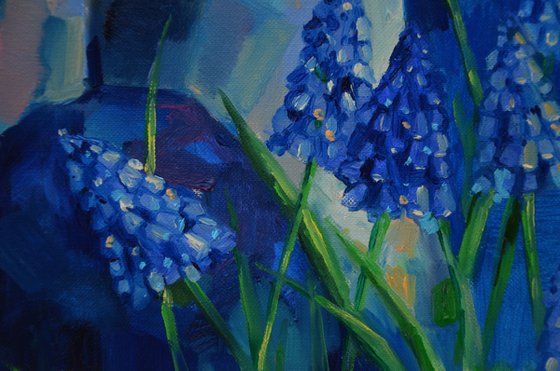 Muscari