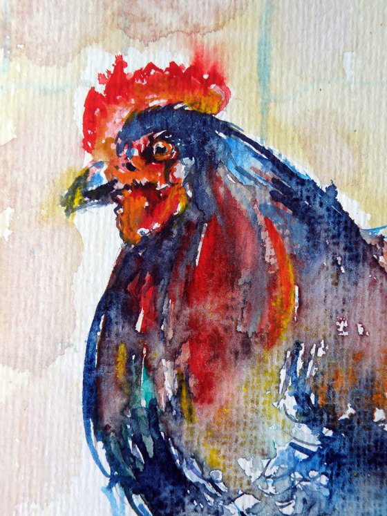 Rooster
