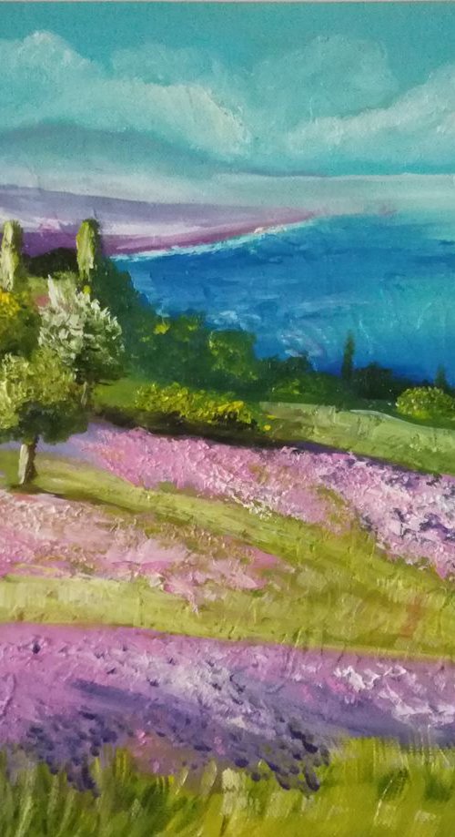 Lavender fields by Nataliia Plakhotnyk