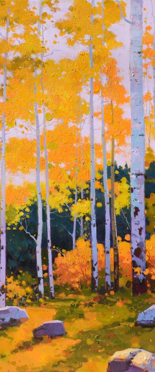 Birch trees forrest 081 by jianzhe chon