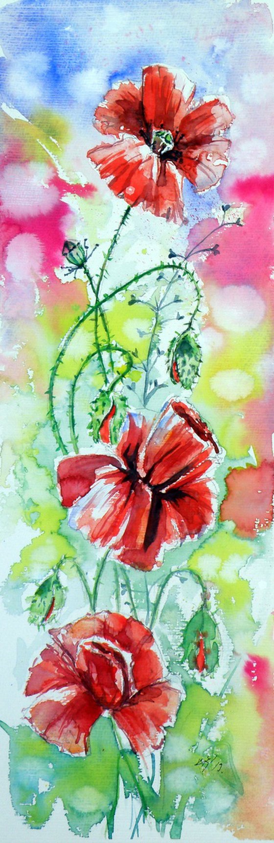 Poppies of summer V