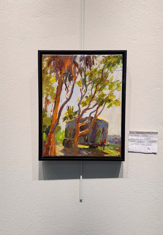 Under the Palm’s Shade