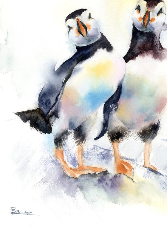 Pair of puffins (birds)