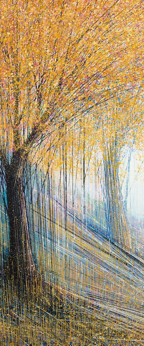 Trees In Autumn by Marc Todd