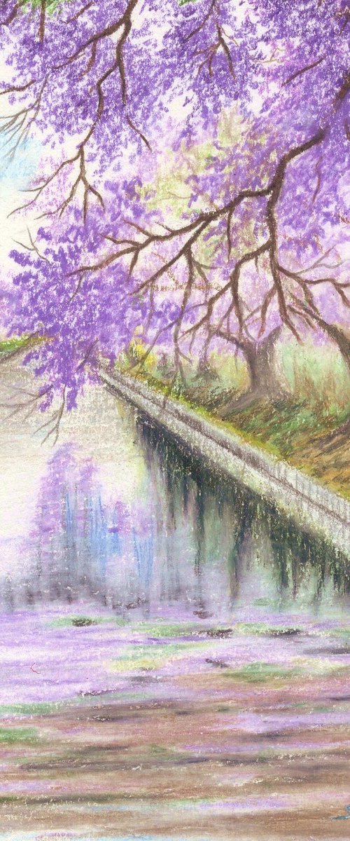 Tree lined canal by Shweta  Mahajan