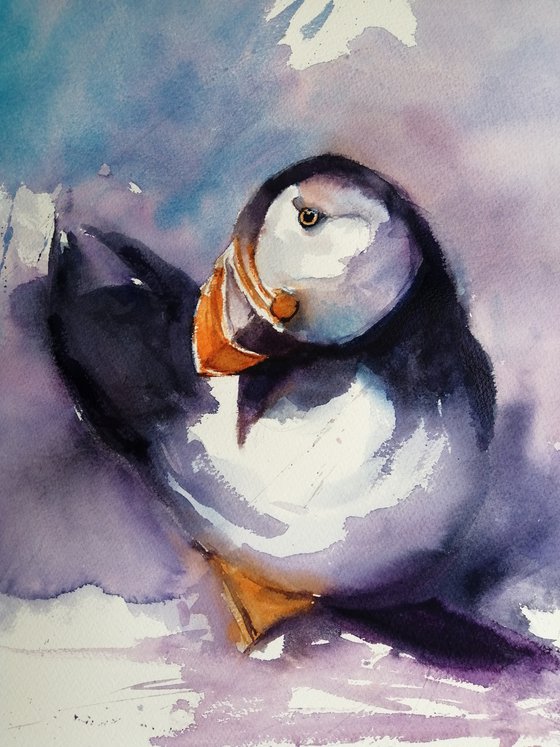 puffin