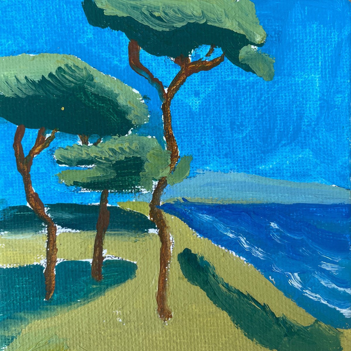 Pines on the Coast - 10x10 cm by Victoria Dael