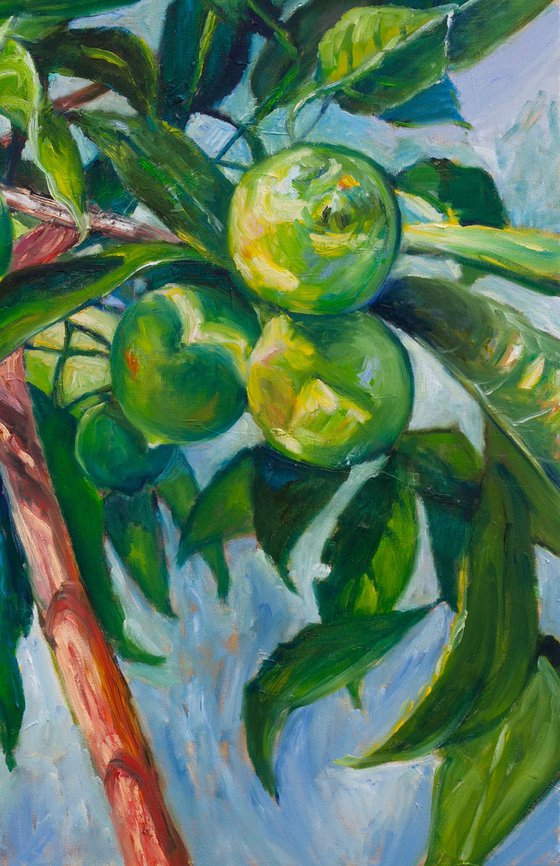 Lime
