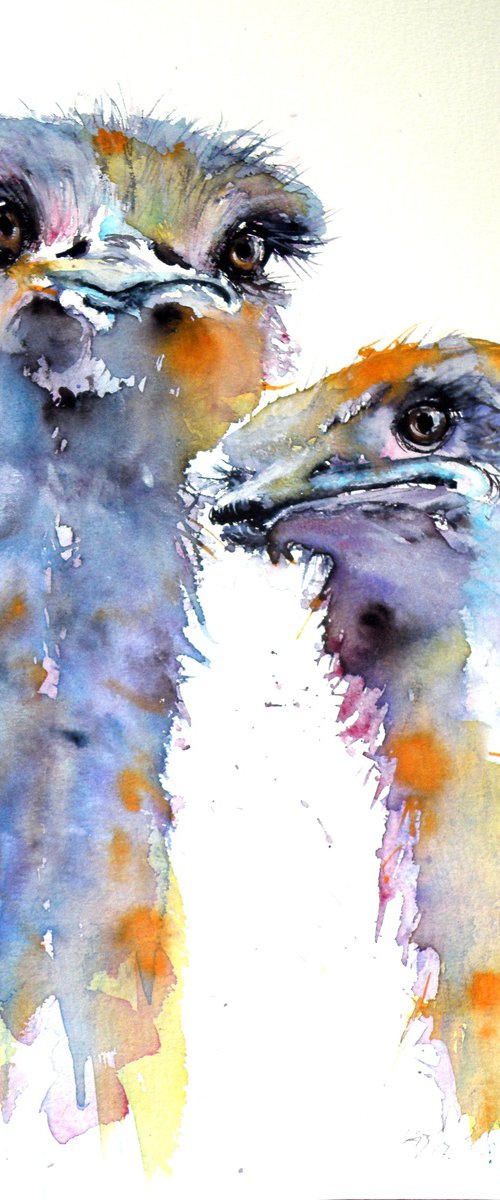 Ostriches by Kovács Anna Brigitta