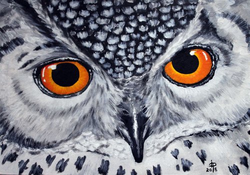 Owl by Irina Poleshchuk