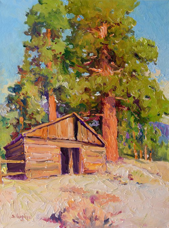Old Cottage and Sequoia