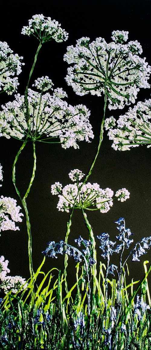 Bluebells and Cow Parsley by Jackie Ward