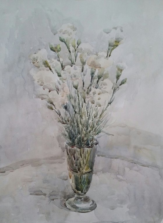 White carnation. Original watercolour painting