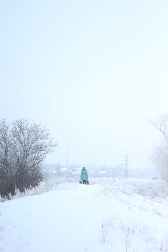 Series "Winter in Ukraine" #2