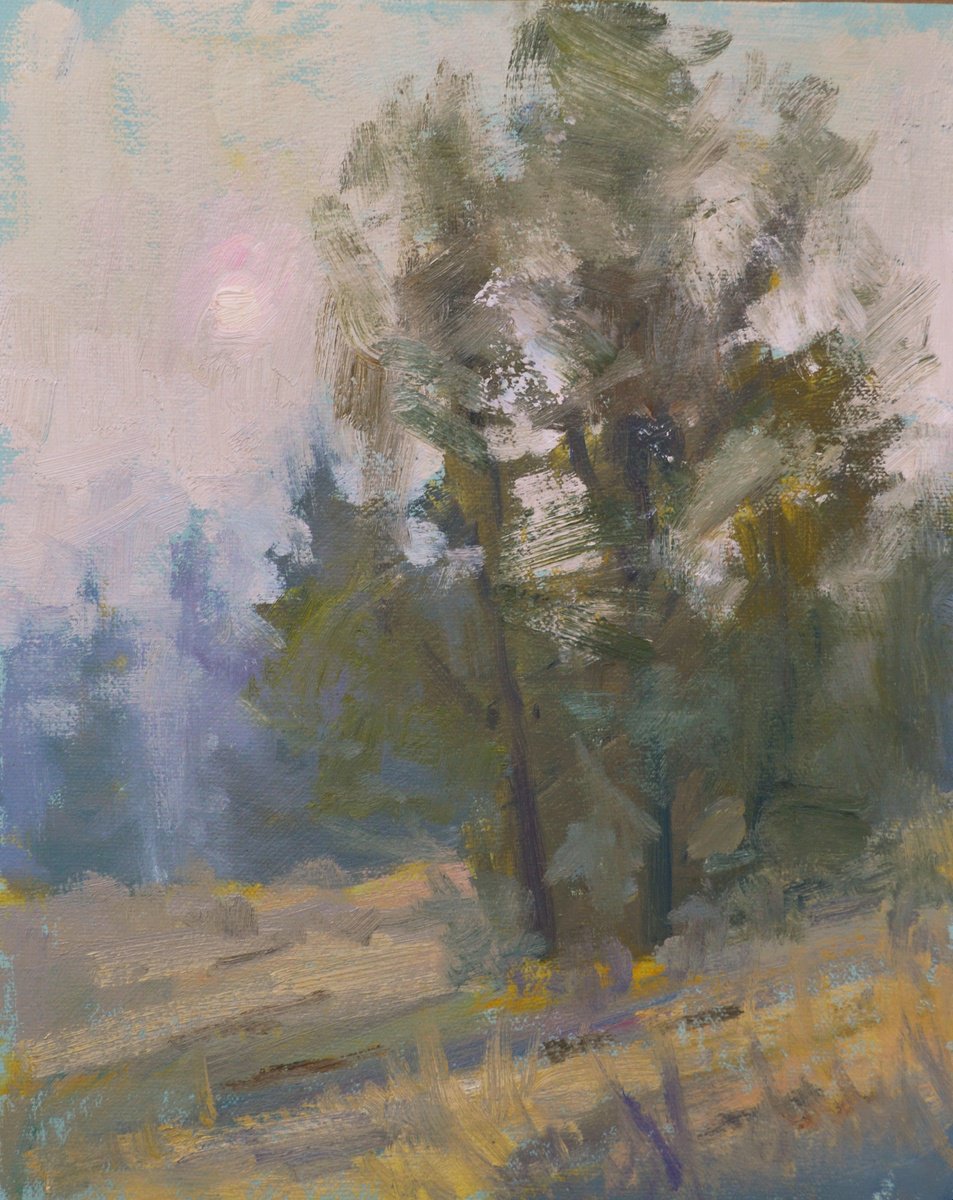 Impressionistic Landscape Oil Painting By Kristina Sellers, 8 X 10", Ashen Sunrise, Original Artwork