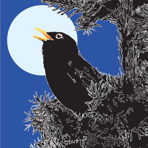 Blackbird Singing by Keith Dodd