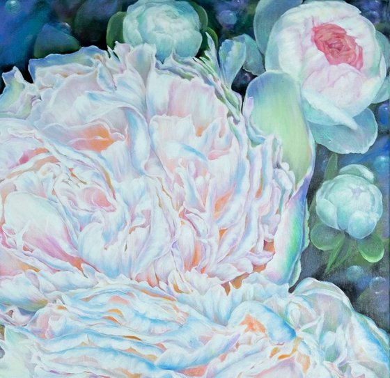 Whisper of Peonies