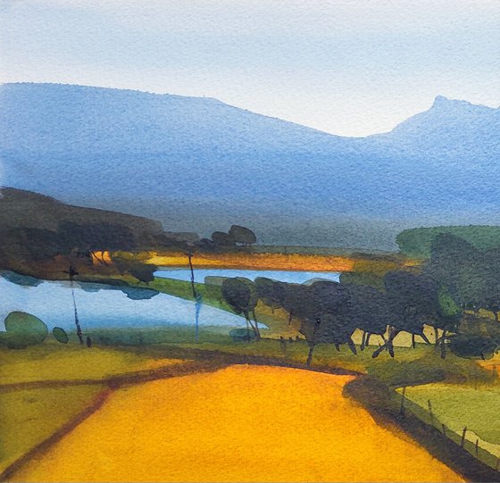 Indian yellow, summer light 2