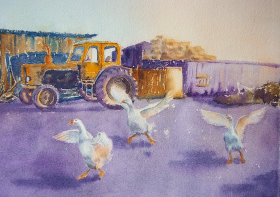 Dancing geese