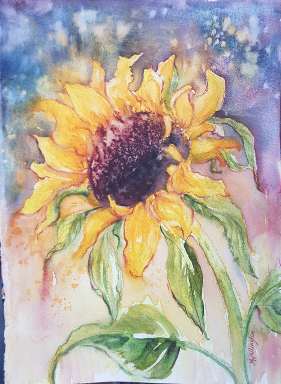 Sunflower Burst