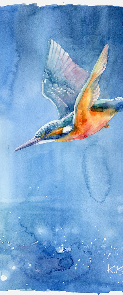 Flying kingfisher by Karolina Kijak