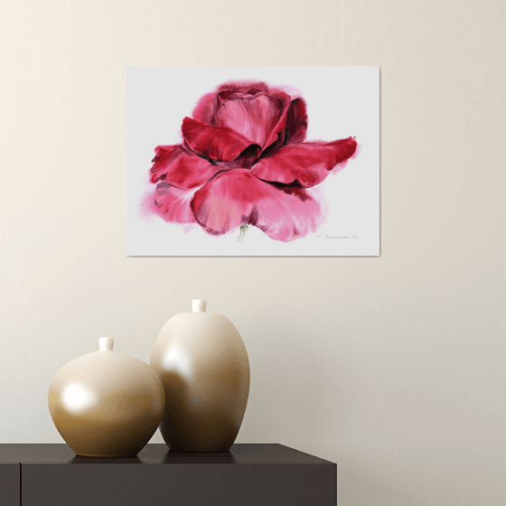Red rose portrait