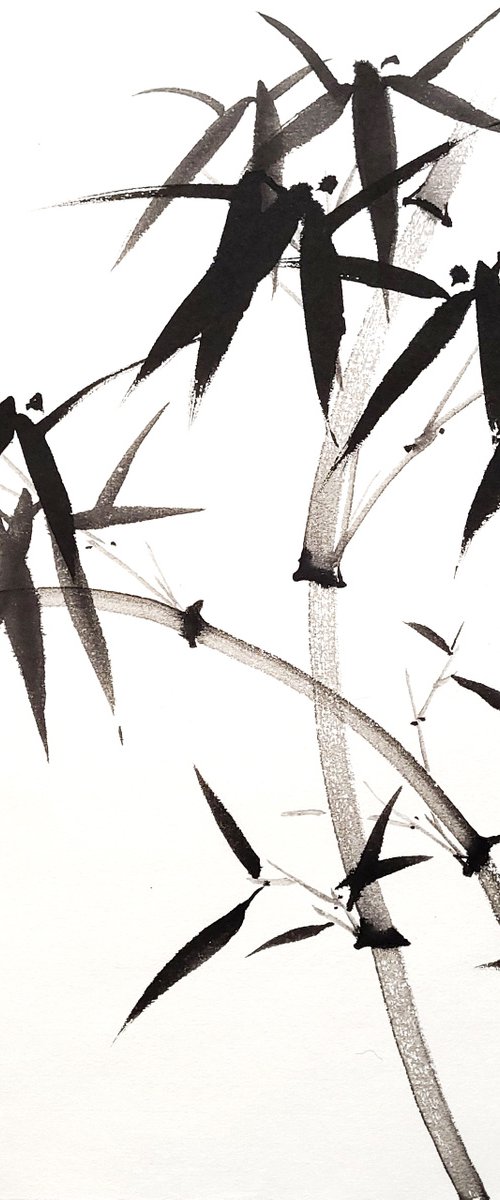 Two intersecting bamboo trunks  - Bamboo series No. 2113 - Oriental Chinese Ink Painting by Ilana Shechter