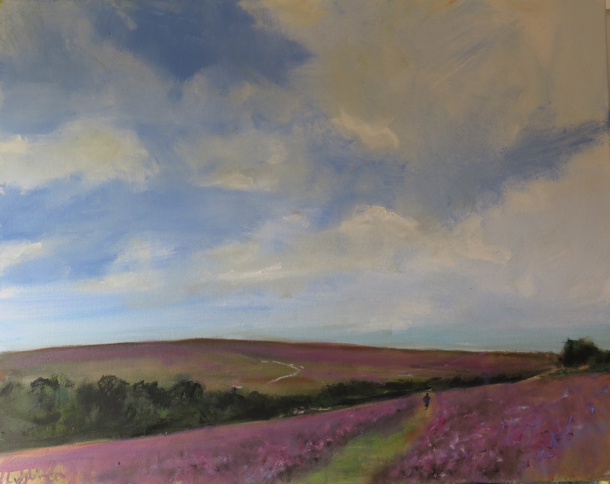 Goathland Heather by Malcolm Ludvigsen