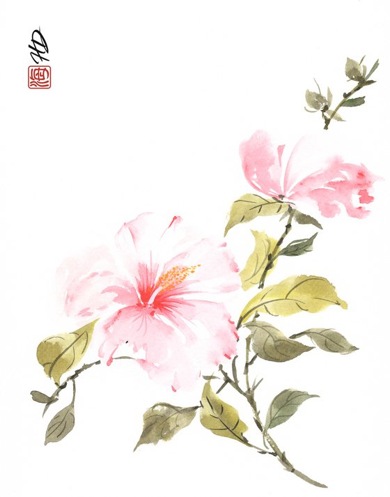 Blushing Hibiscus