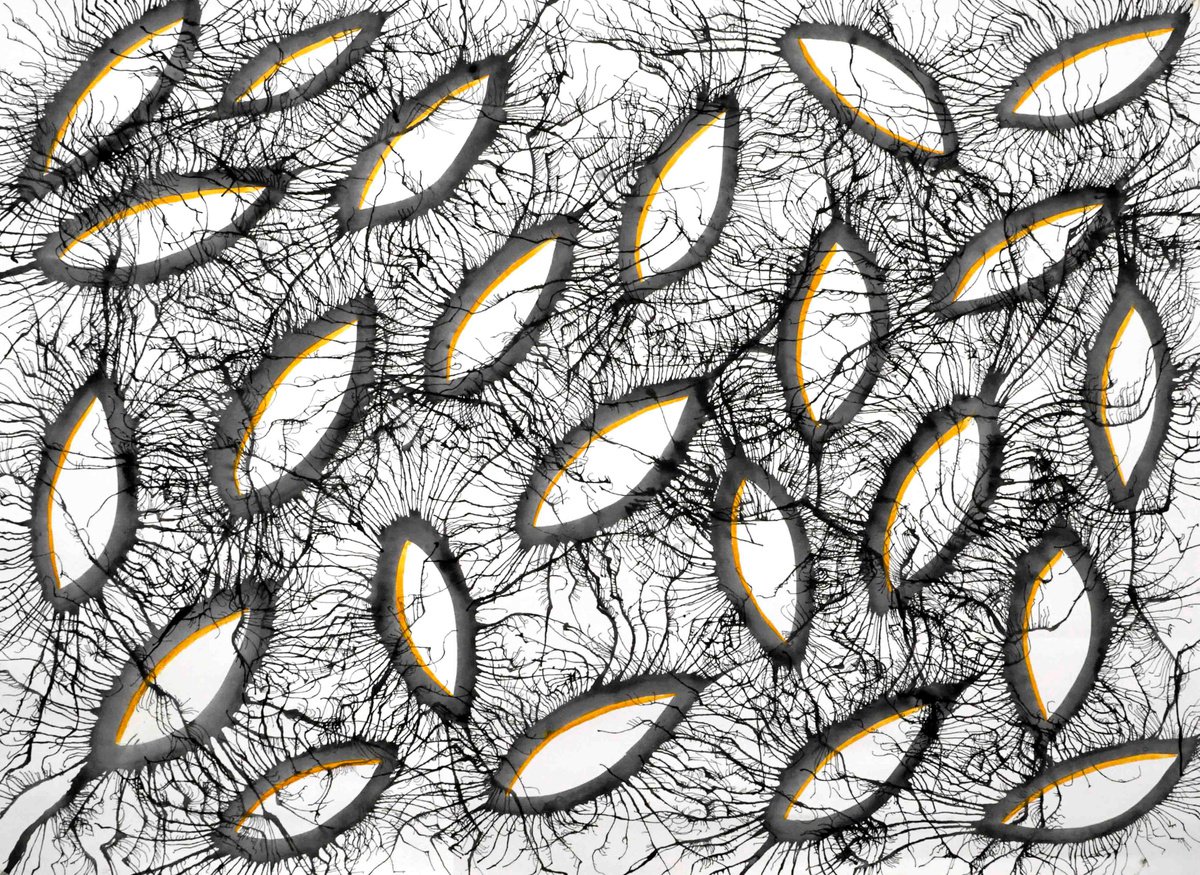 Abstract Acrylic Painting By Sumit Mehndiratta, 45 X 32", Exploflora Series Nº85, Original Artwork